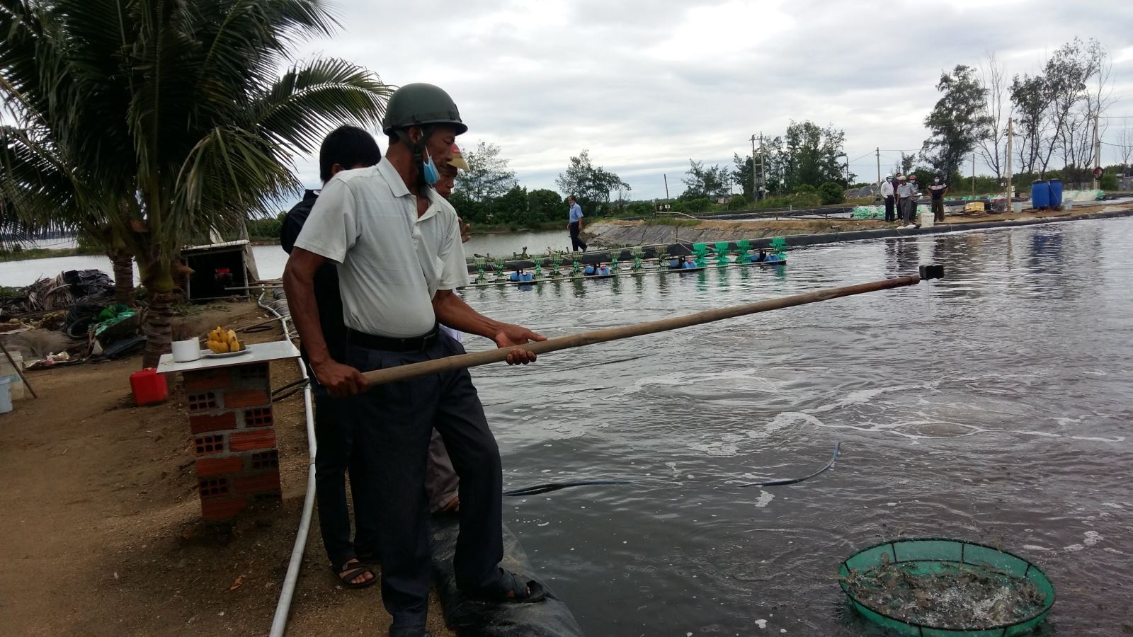 Nuôi tôm Semi-Biofloc